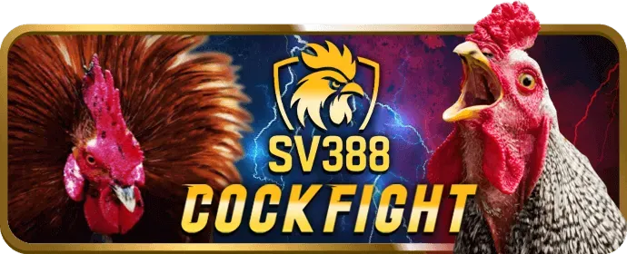 Giao Diện Thân Thiện & Trải Nghiệm Mượt Mà TD88 win